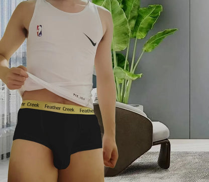 U-shaped large bag men's underwear