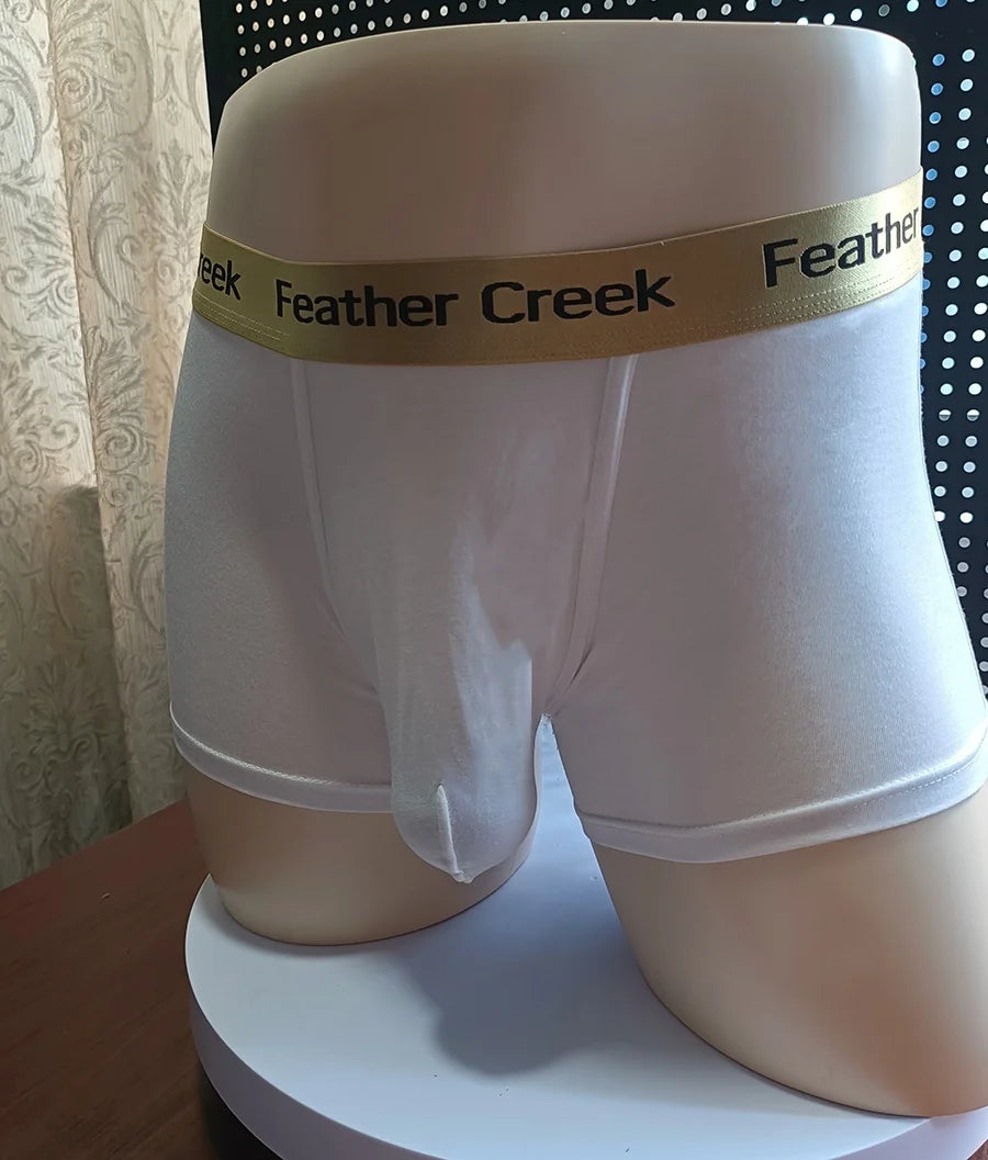 U-shaped large bag men's underwear